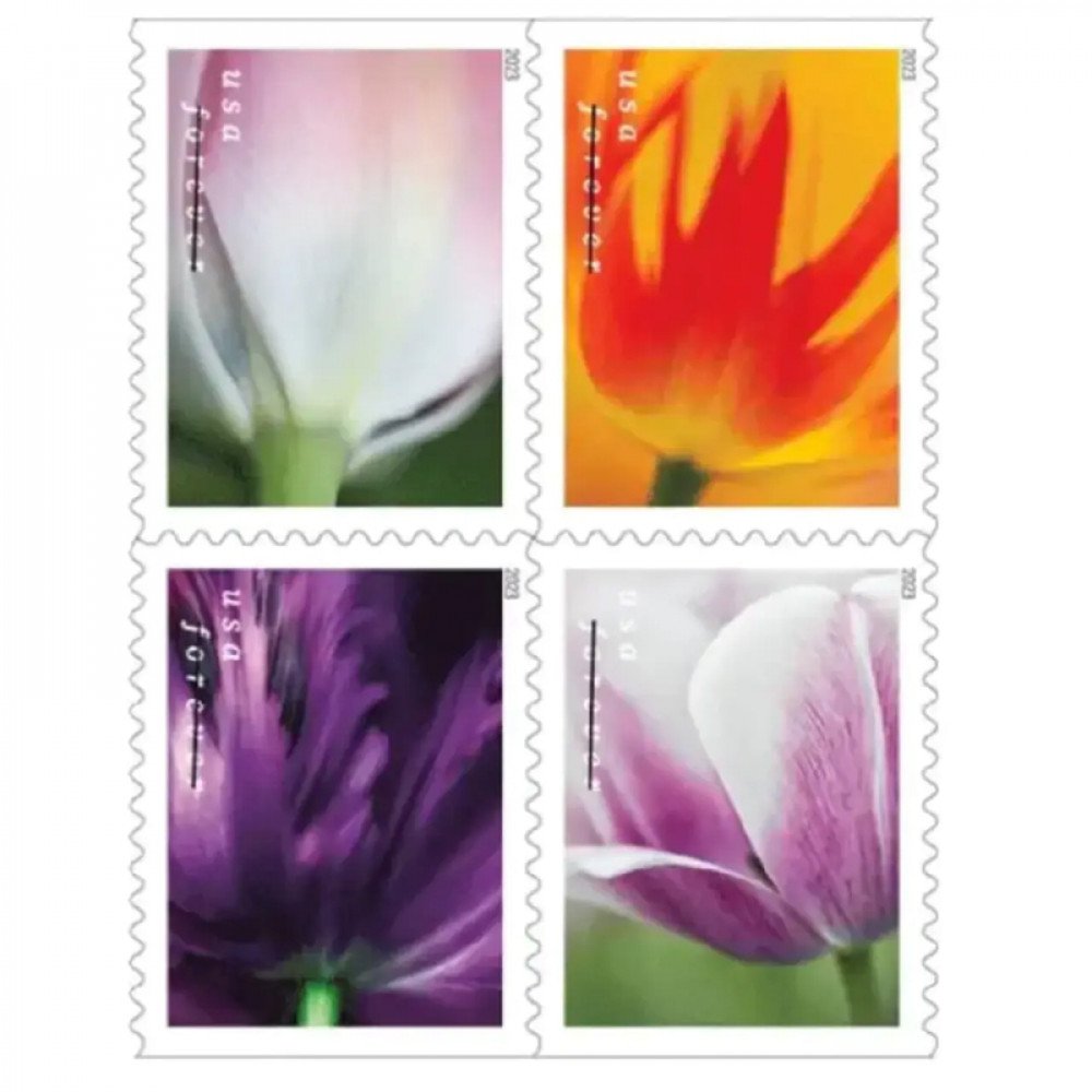 2023 US Tulip Blossoms First-Class Forever Stamps