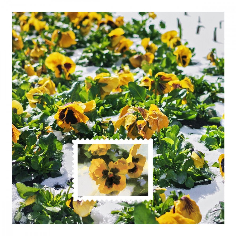 2022 USPS Snowy Garden Beauty Forever Postage Stamps