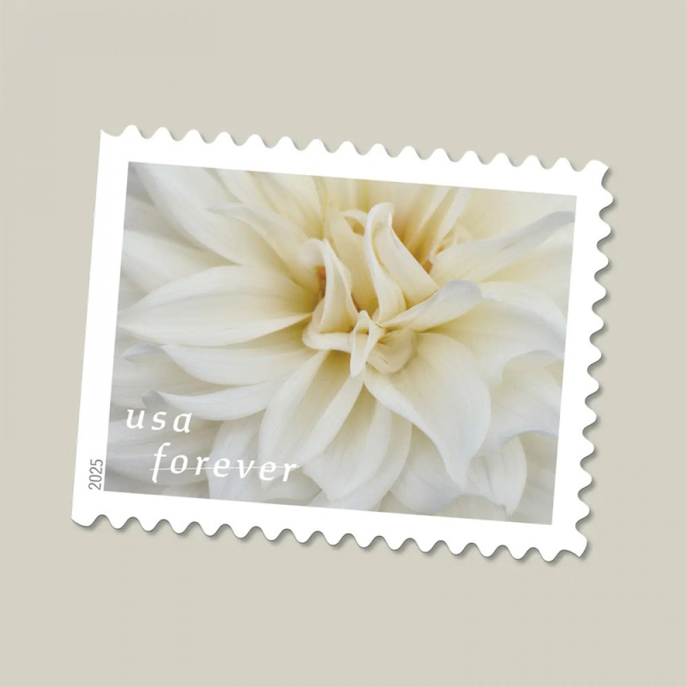 2025 Dahlias Stamps Book of 20