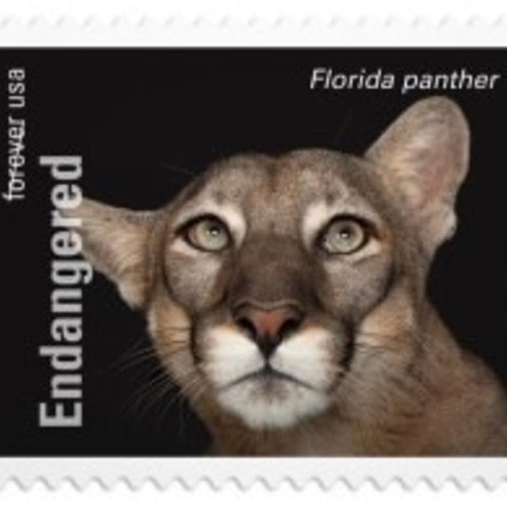 2023 US Endangered Species First Class Postage Forever Stamps