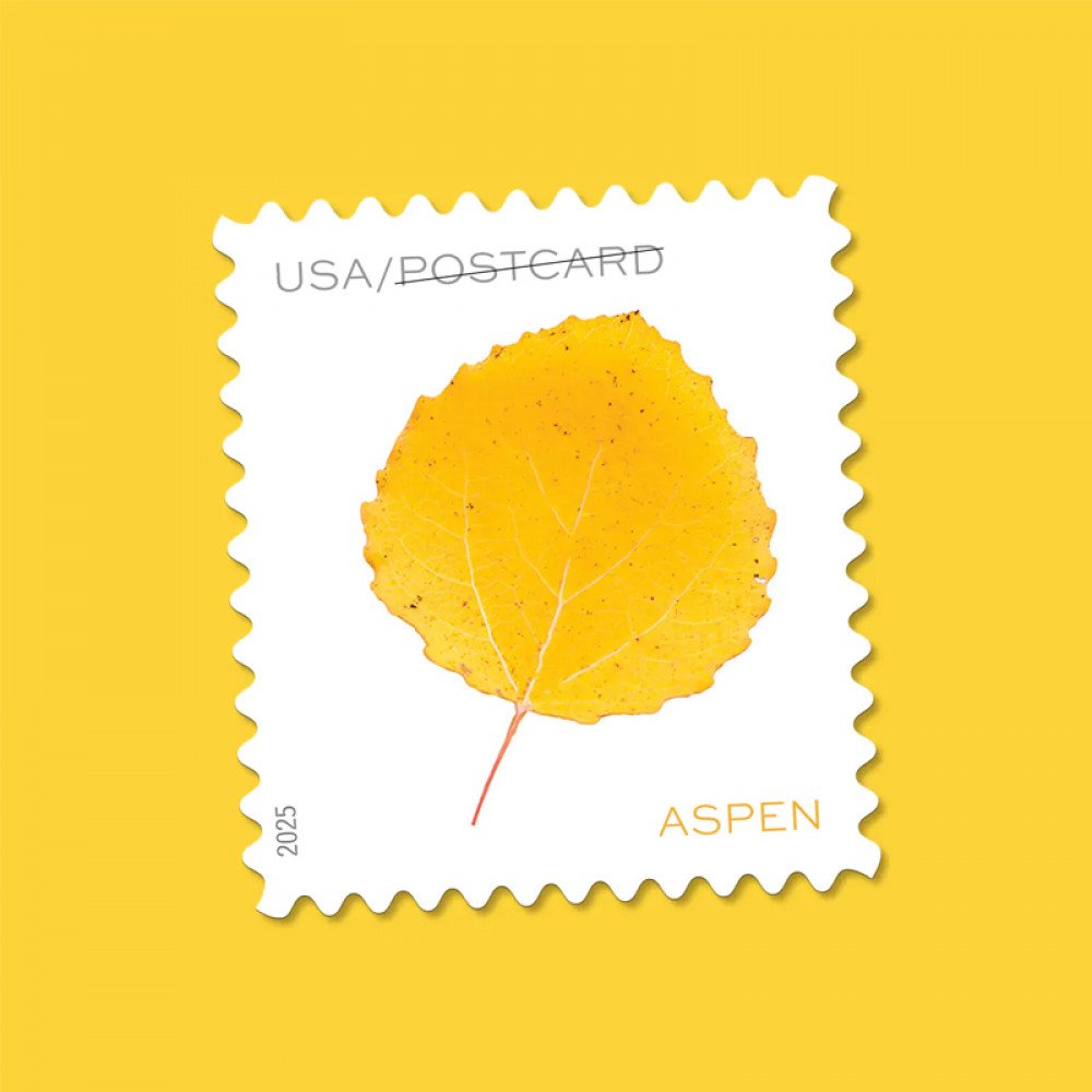 2025 Vibrant Leaves Postcard Stamps, 1 Roll of 100 Pcs Postcard |Multiple Stamp Designs andFormats