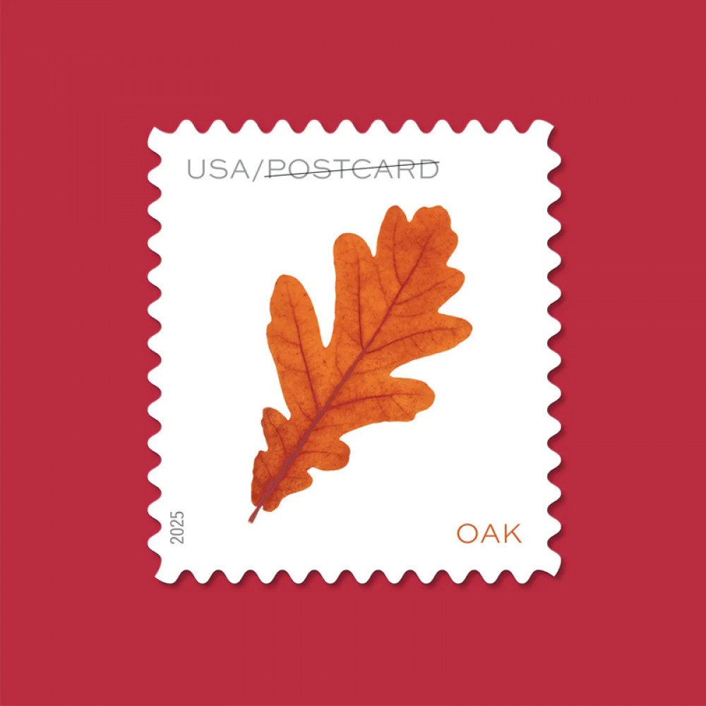 2025 Vibrant Leaves Postcard Stamps, 1 Roll of 100 Pcs Postcard |Multiple Stamp Designs andFormats
