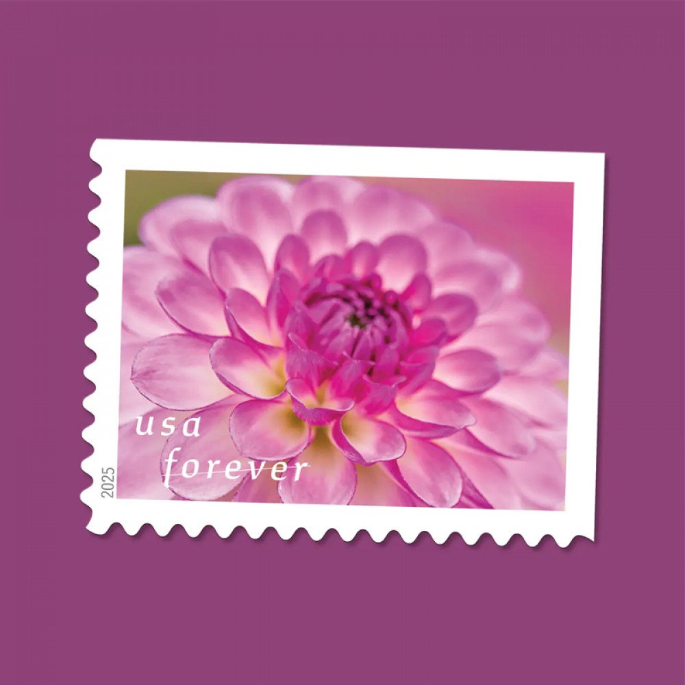 2025 Dahlias Stamps Book of 20